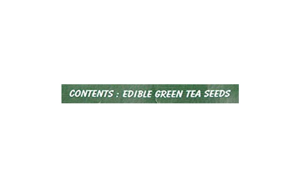 Green Wealth Whole Green Tea Seeds    Pack  200 grams